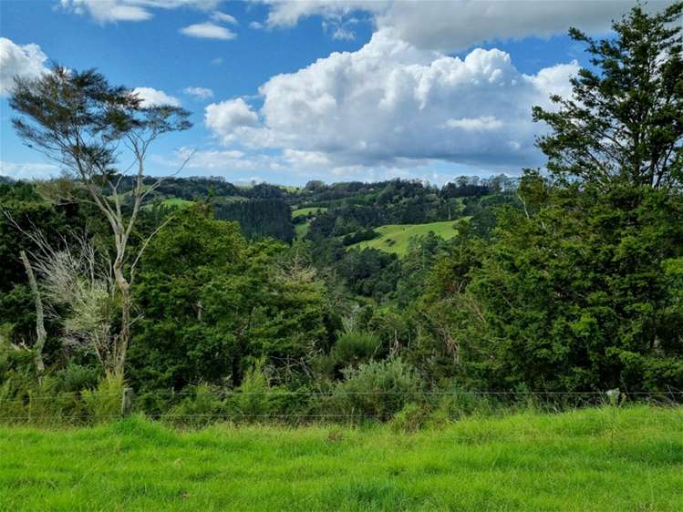 69 Fraser Road Kawakawa_14