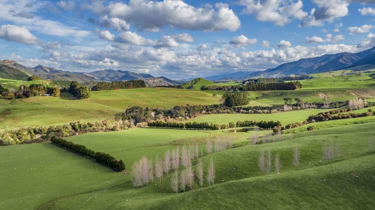 463 Gull Flat Road Central Hawkes Bay Country_22