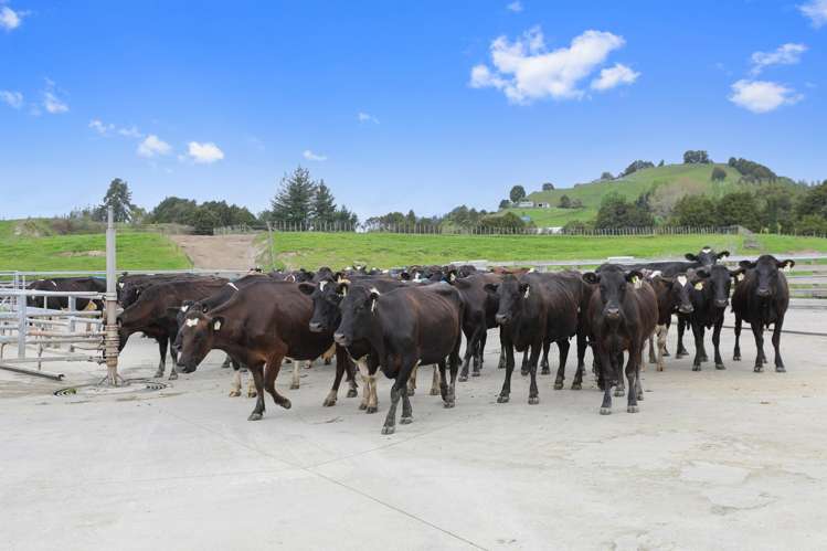 66 Kirtons Road Taumarunui_46