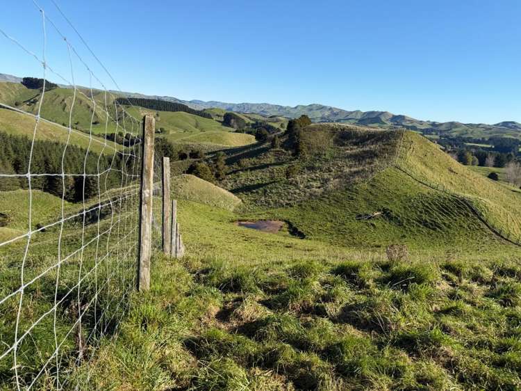 196 Ngapaeruru Rd Dannevirke_14