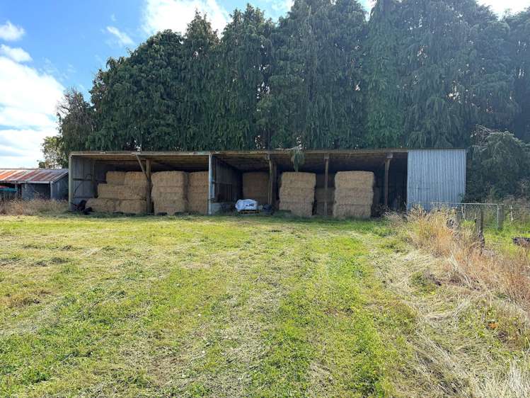 672 Oporo Flat Road Oporo_12