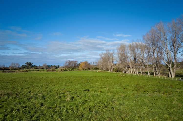 Schoolhouse Road Kaikoura_13