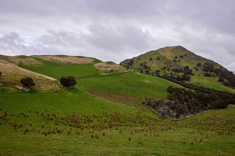 3717 Inland Kaikoura Road Mt Lyford_35