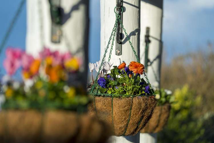 81 Spence Road Henderson_10