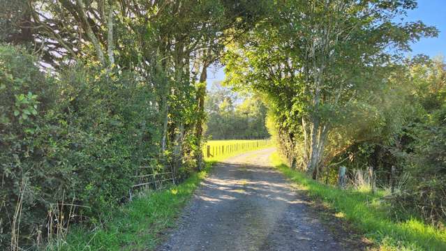 45 and 47 Windsor Road Inglewood_3