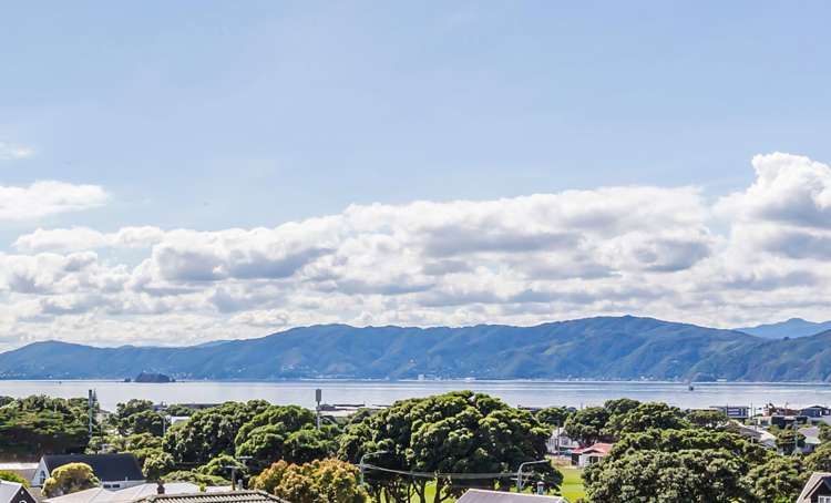 97 Inglis Street Seatoun_8