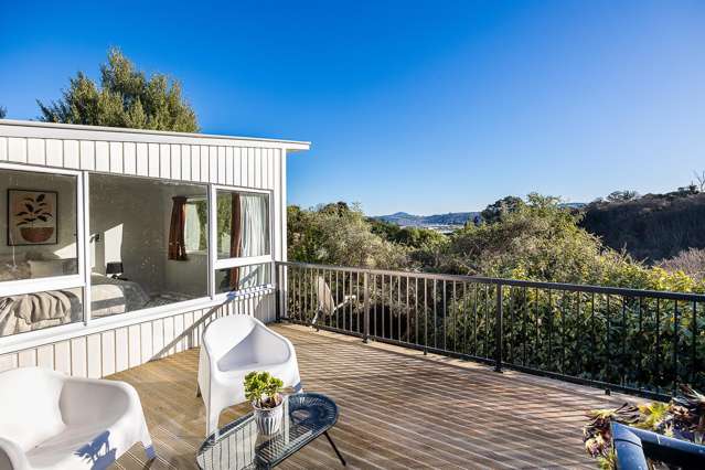 4 Heath Street Andersons Bay_1