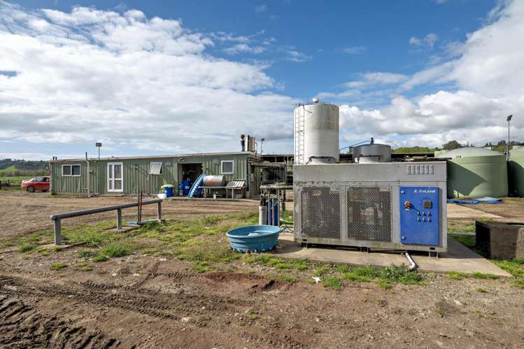 Brooklyn Farm, 126 McGinley Road Opotiki_3