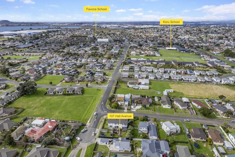 107 Hall Avenue Favona_19