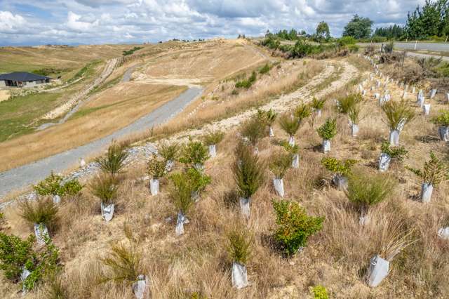 237 Harley Road Tasman_2