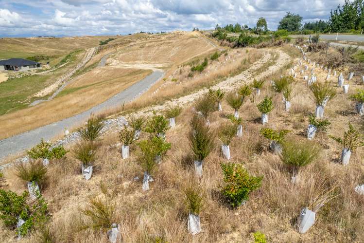 237 Harley Road Tasman_2