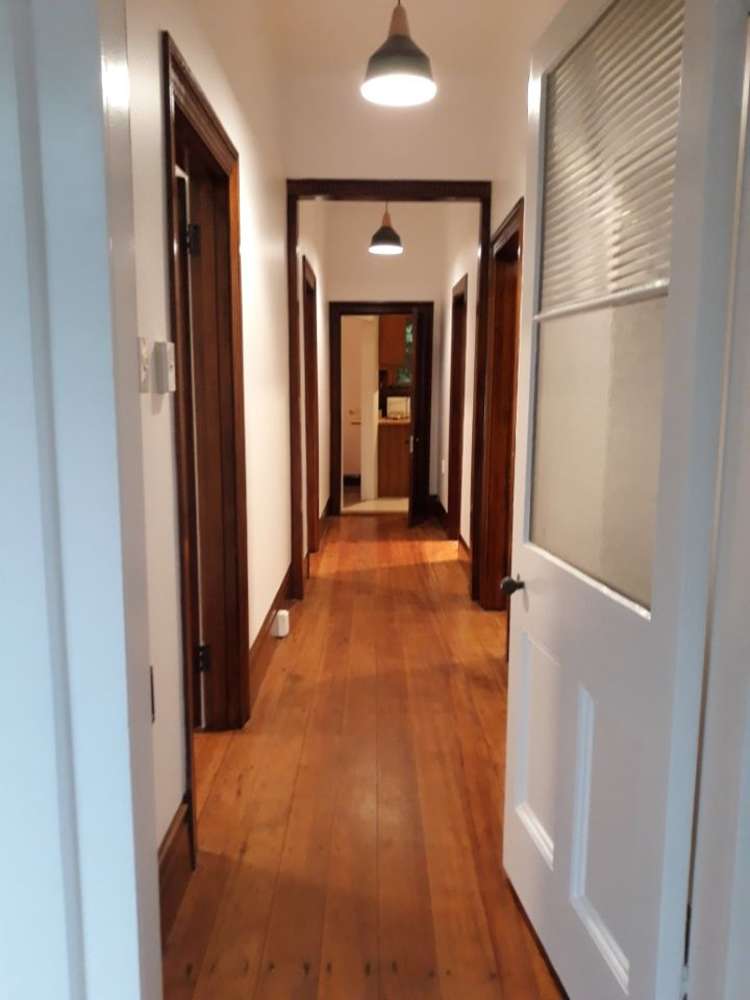 46 Norway Street Aro Valley_5