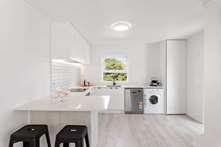 1/29a Birdwood Crescent Parnell_1