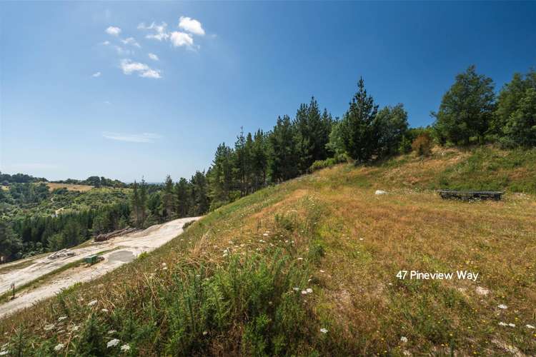 45 and 47 Pineview Way Motueka_3