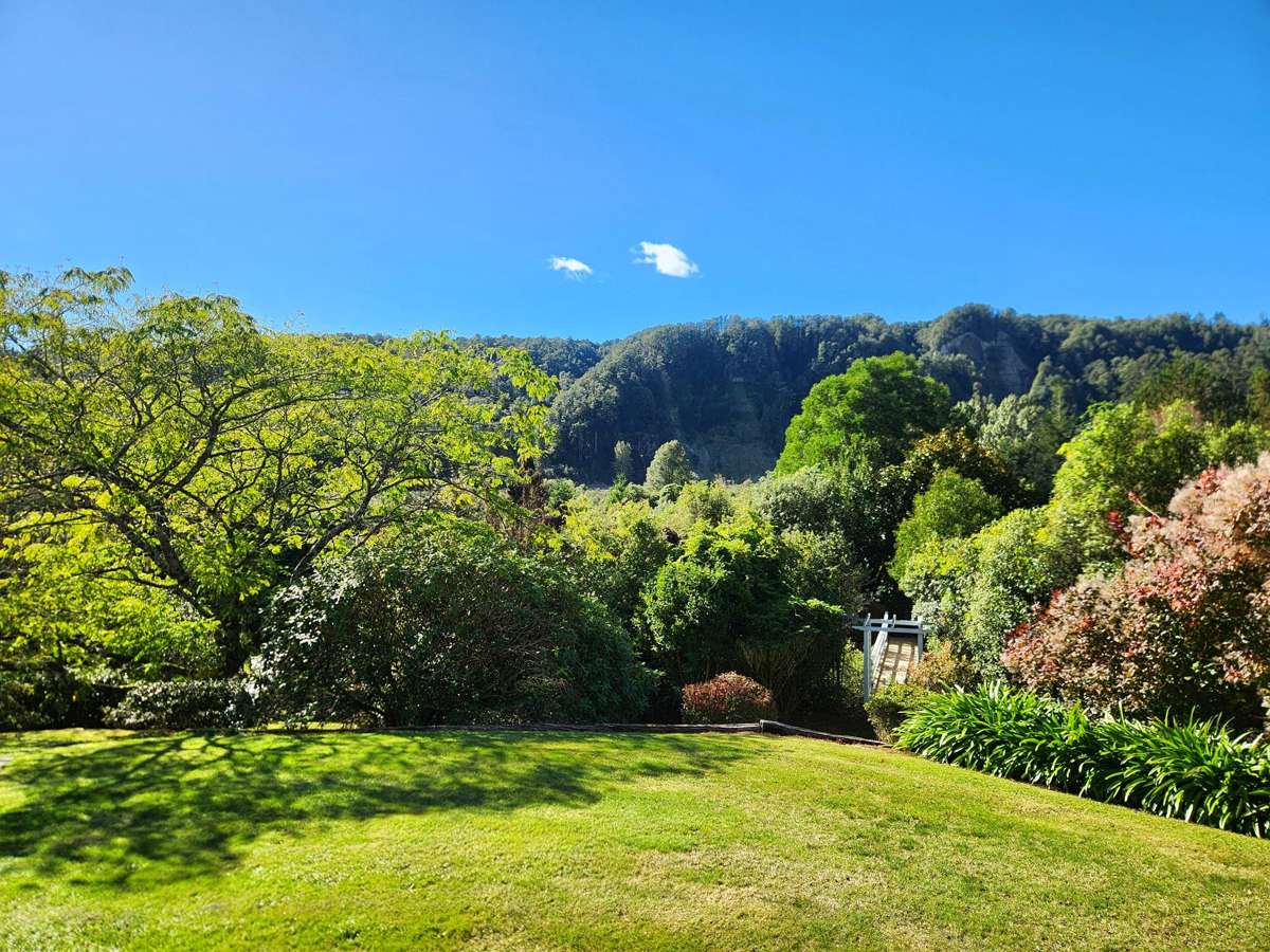 499 Nelson Creek Road_4