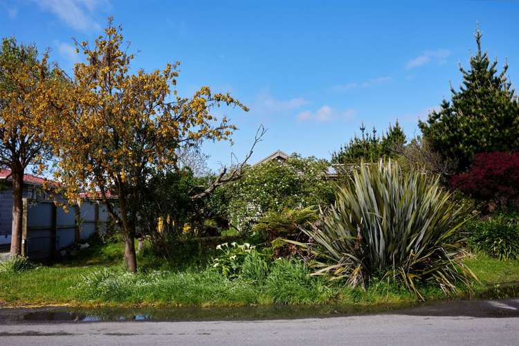 242 Beach Road Kaikoura_17