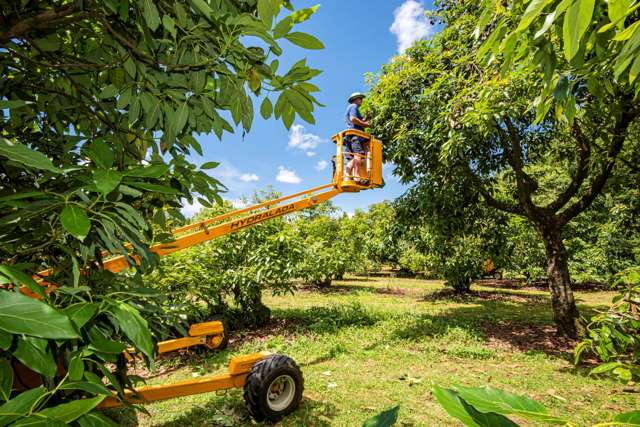 1700 State Highway 14 Maungatapere_2