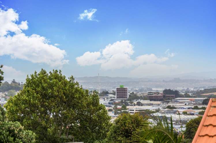 31 Ngatiawa Street One Tree Hill_10