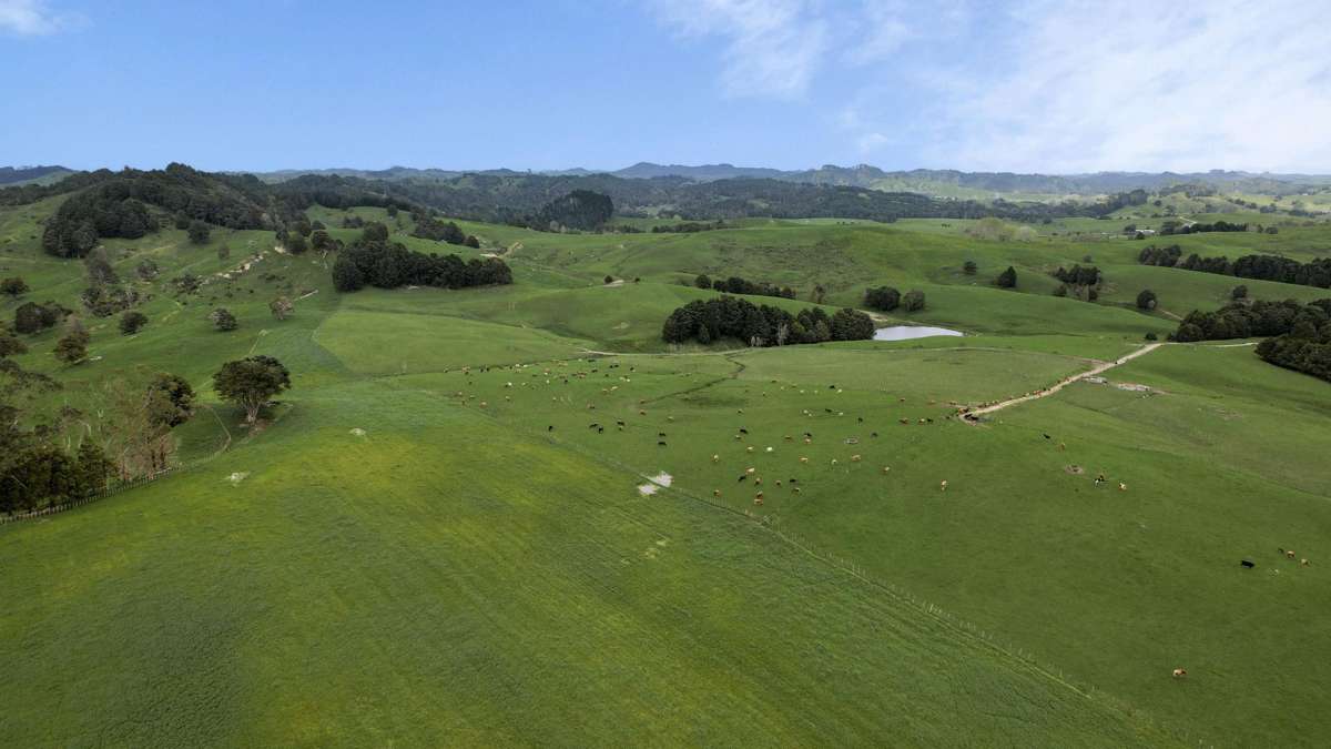 2051 Paparoa-Oakleigh Road_2