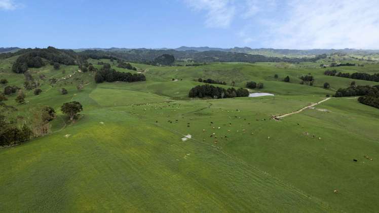 2051 Paparoa-Oakleigh Road Taipuha_6