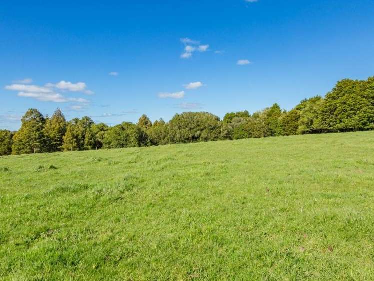 403 Te Ahu Ahu Road Waimate North_24