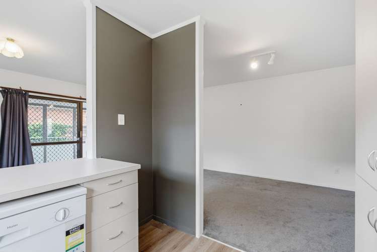 5A Mains Avenue Kensington_11