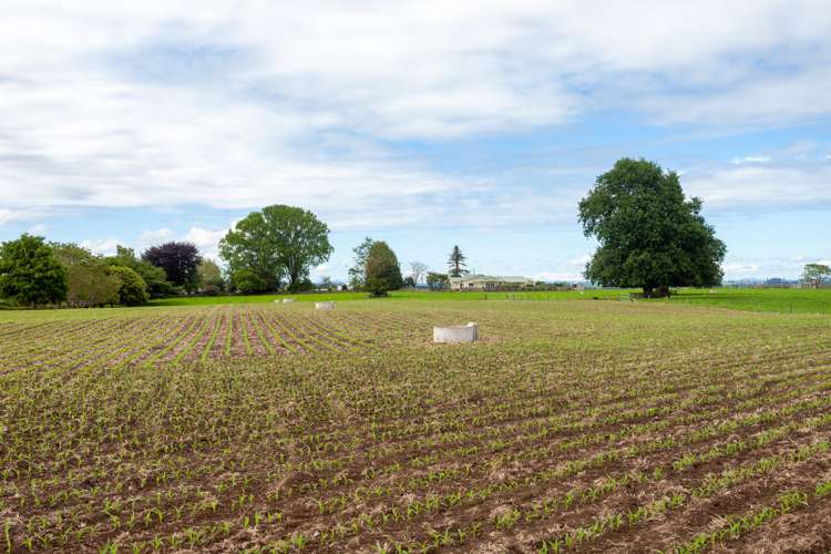 330 Rangitanuku Road Te Poi_12