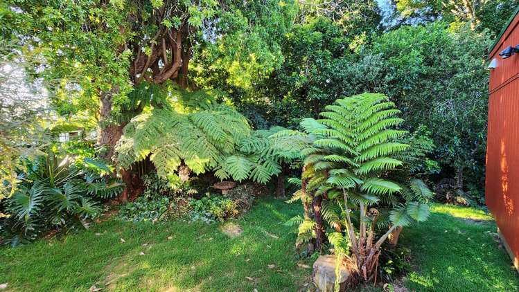 29 Aroha Avenue Sandringham_8