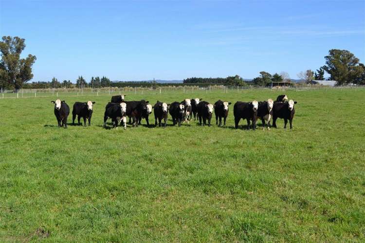 146 Double Corner Road Amberley_2