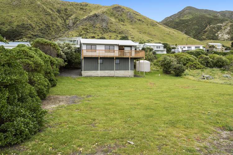 10 Ben Avon Grove Cape Palliser_0