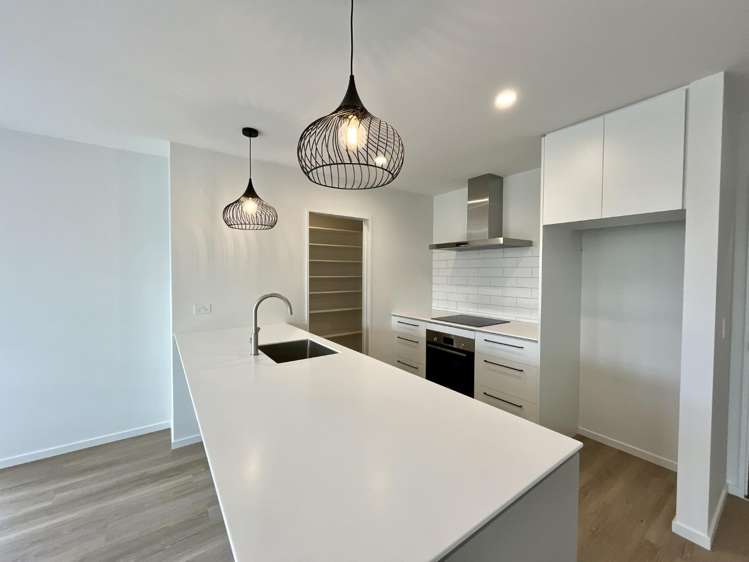 94 Monarch Drive 11103_2