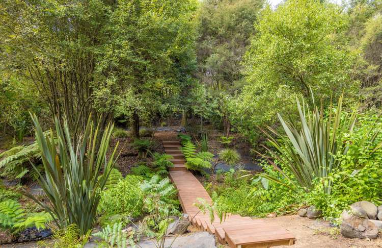 3 Bush View Drive Raglan_28