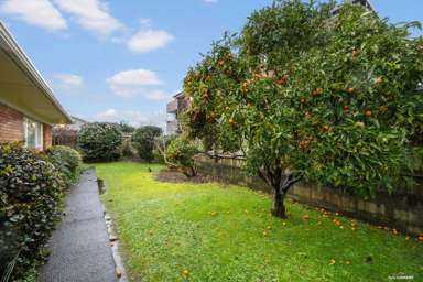 3/101 Seddon Street_1