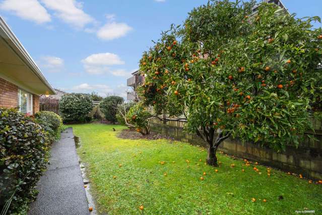 3/101 Seddon Street Pukekohe_1