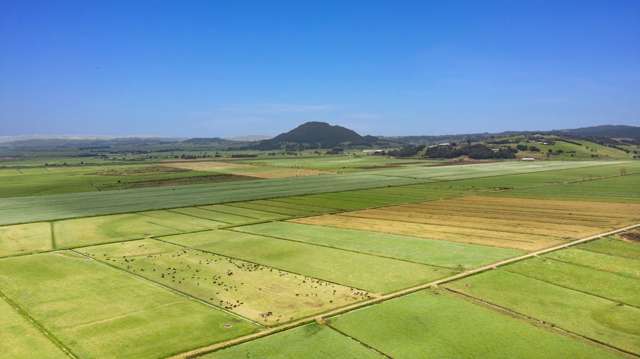 Dairy Farm Close to Whangarei, A Rare Find!