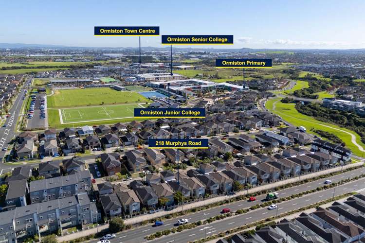 218 Murphys Road Flat Bush_30