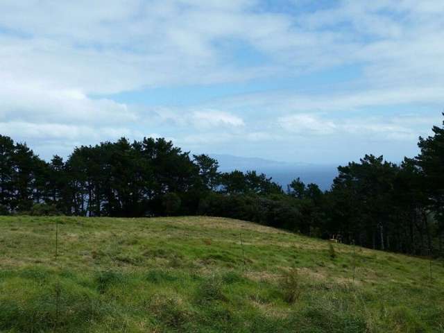 411 Schooner Bay Road Great Barrier Island (Aotea Island)_3