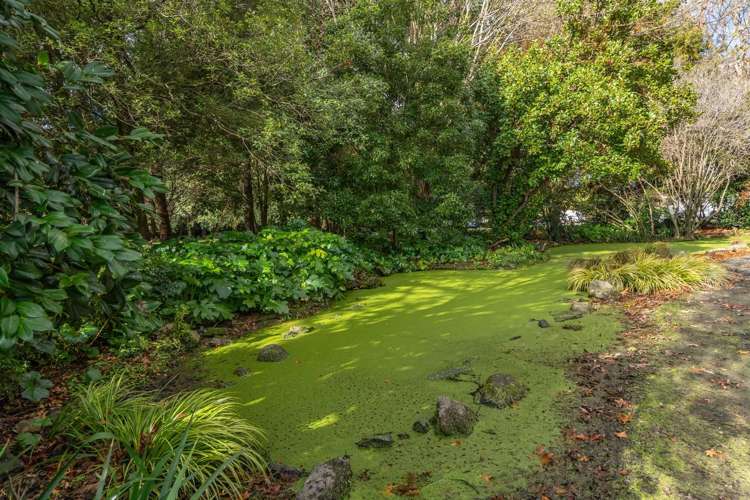 20 Turners Road Styx_36