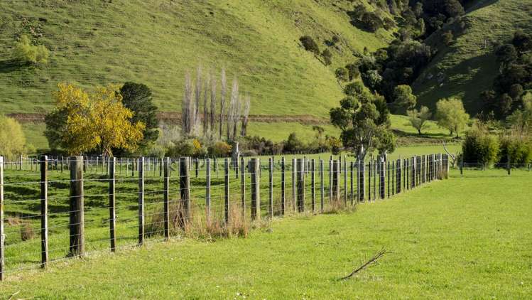 72 Te Hau Road Masterton_10