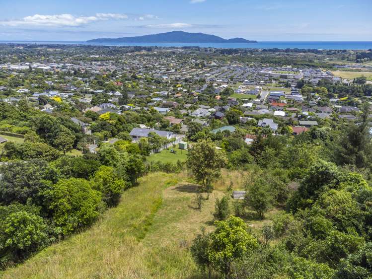 61A Kotare Street Waikanae_16