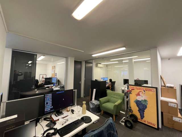 272 Richmond Road Grey Lynn_4