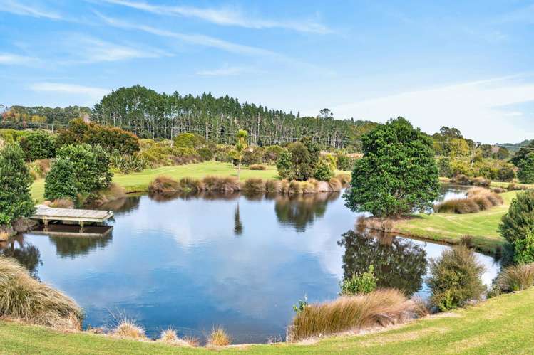 2008D Cove Road Mangawhai_22