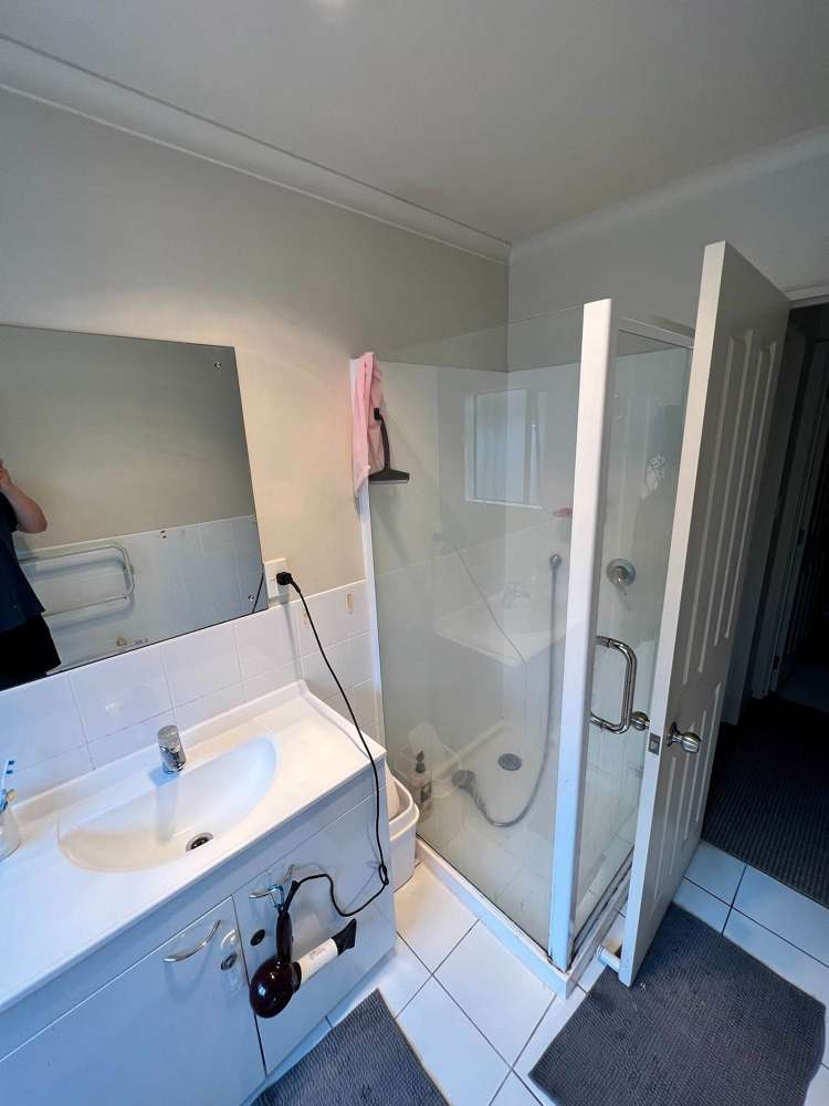 23 Mandival Avenue Flat Bush_8