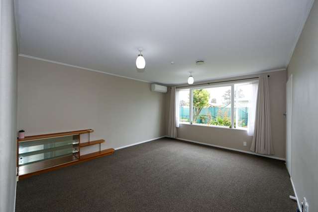 1/507 Omahu Road Frimley_3