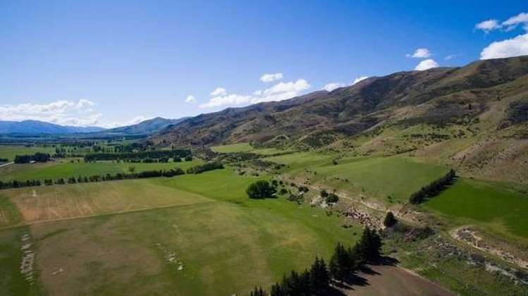 981 Luggate-Tarras Road Westland Surrounds_9