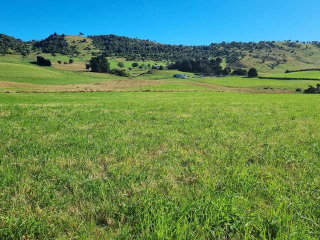 2000 Hillfoot Road Warepa_3