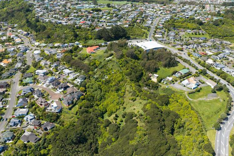 1A Whitford Brown Avenue Papakōwhai_5
