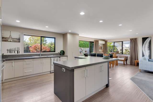 12A Lane Street Blenheim_4