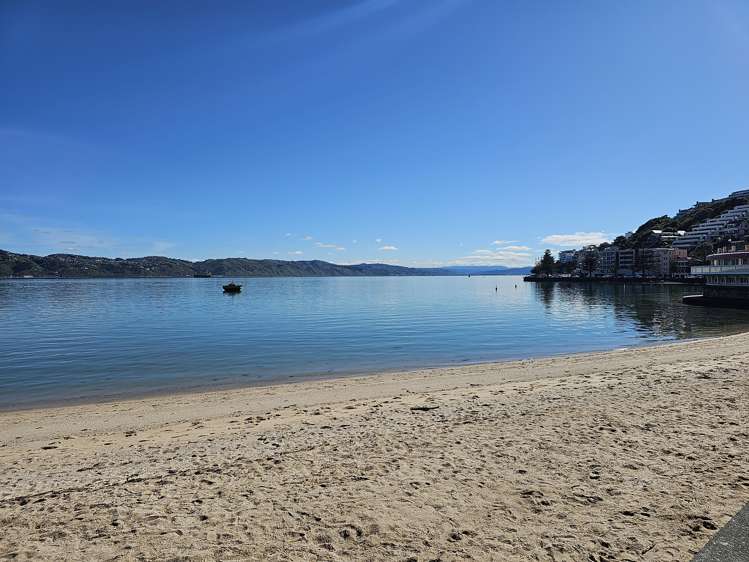 228 Oriental Parade Oriental Bay_18