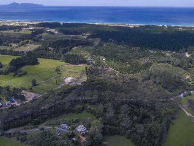 80 Pacific Road Mangawhai_3